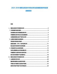 2025-2030鋼鐵冶煉技術(shù)市場分析及發(fā)展前景研究投資戰(zhàn)略規(guī)劃