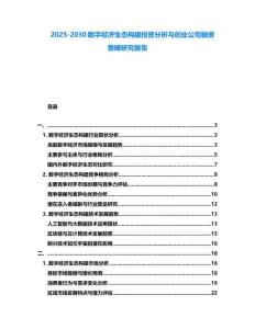 2025-2030數字經濟生態構建投資分析與創業公司融資策略研究報告