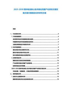 2025-2030燃料電池核心技術催化劑國產化項目方案實施方案方案規劃分析研究方案