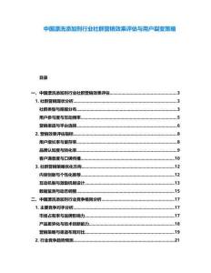 中國漂洗添加劑行業社群營銷效果評估與用戶裂變策略