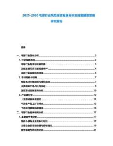 2025-2030毛球行業(yè)風(fēng)險(xiǎn)投資發(fā)展分析及投資融資策略研究報(bào)告