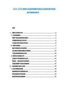 2025-2030鋼鐵行業(yè)結(jié)構(gòu)調(diào)整升級動力協(xié)調(diào)供需平衡實施方案規(guī)劃研究