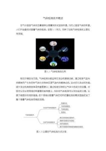 《【氣體檢測技術概述】2400字》