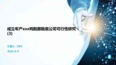成立年產xxx噸鞋跟鞋底公司可行性研究 (3)
