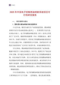 2025年中國電子控制燃油噴射系統(tǒng)項(xiàng)目可行性研究報(bào)告