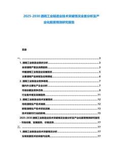 2025-2030酒精工業(yè)制造業(yè)技術(shù)突破情況全面分析及產(chǎn)業(yè)化前景預(yù)測(cè)研究報(bào)告