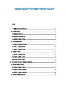 中國漂洗劑行業數字化轉型對生產效率提升實證研究