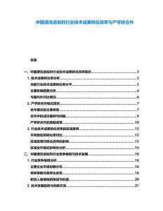 中国漂洗添加剂行业技术成果转化效率与产学研合作