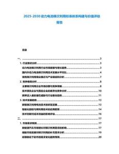 2025-2030動(dòng)力電池梯次利用標(biāo)準(zhǔn)體系構(gòu)建與價(jià)值評(píng)估報(bào)告