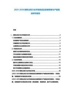 2025-2030钢铁冶炼行业市场挑战及发展策略与产能规划研究报告