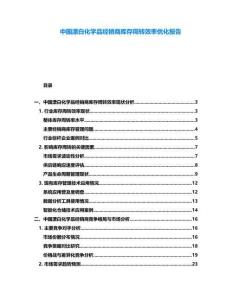 中国漂白化学品经销商库存周转效率优化报告