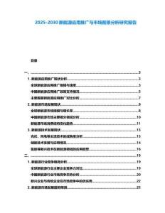 2025-2030新能源應(yīng)用推廣與市場前景分析研究報告