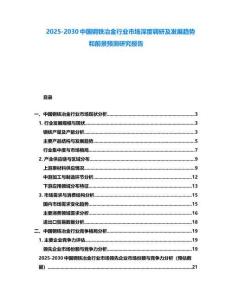 2025-2030中國鋼鐵冶金行業市場深度調研及發展趨勢和前景預測研究報告