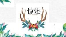 少兒美術(shù)教學(xué)：驚蟄