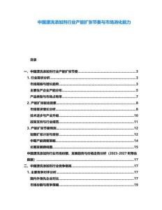 中国漂洗添加剂行业产能扩张节奏与市场消化能力