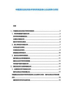 中国漂白活化剂技术专利布局及核心企业竞争力对标