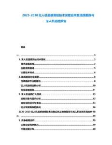 2025-2030無人機遙感測繪技術深度應用及地質勘探與無人機巡檢報告