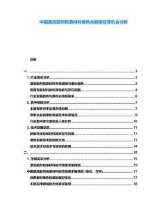 中国漂洗助剂包装材料绿色化转型投资机会分析