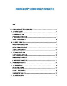 中國漂洗添加劑產(chǎn)業(yè)集群發(fā)展現(xiàn)狀與協(xié)同效應(yīng)評估