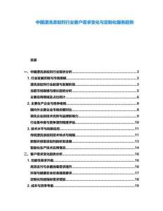 中国漂洗添加剂行业客户需求变化与定制化服务趋势