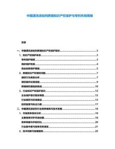 中國漂洗添加劑跨境知識產(chǎn)權保護與專利布局策略