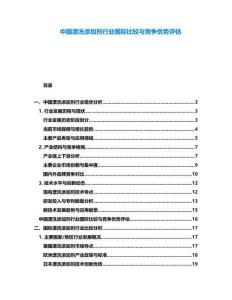 中國漂洗添加劑行業(yè)國際比較與競爭優(yōu)勢評估