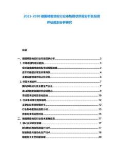 2025-2030德國精密齒輪行業(yè)市場現(xiàn)狀供需分析及投資評估規(guī)劃分析研究