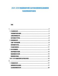 2025-2030智能智能車輛行業(yè)市場(chǎng)深度調(diào)研及發(fā)展前景與投資預(yù)測(cè)研究報(bào)告