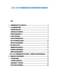 2025-2030中國跨境電商平臺競爭策略與用戶畫像研究