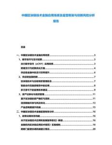 中國區(qū)塊鏈技術(shù)金融應(yīng)用場景及監(jiān)管框架與創(chuàng)新風(fēng)險(xiǎn)分析報(bào)告