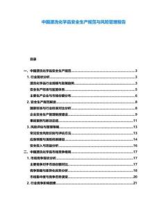 中國漂洗化學品安全生產規范與風險管理報告