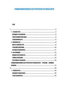 中國漂洗輔料新型配方技術專利布局與市場轉化研究