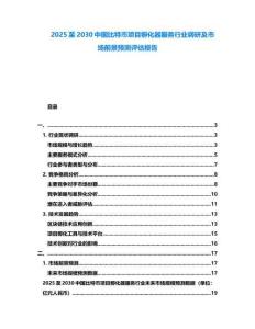 2025至2030中國比特幣項目孵化器服務行業調研及市場前景預測評估報告