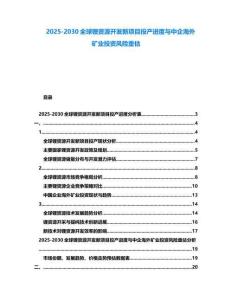 2025-2030全球鋰資源開發新項目投產進度與中企海外礦業投資風險重估