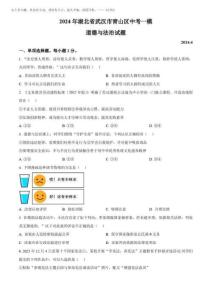 2025年湖北省武汉市青山区中考一模道德与法治试题(原卷版)