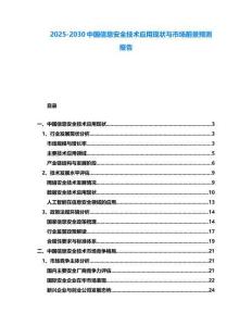 2025-2030中國信息安全技術(shù)應(yīng)用現(xiàn)狀與市場前景預(yù)測報告