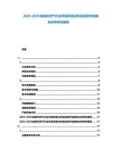 2025-2030能源天然氣行業市場供需分析及投資評估規劃分析研究報告