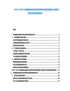 2025-2030中国绿色能源开发利用市场发展潜力深度分析及投资趋势报告