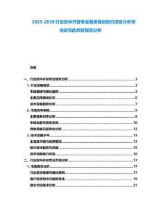2025-2030行業(yè)軟件開發(fā)專業(yè)前景規(guī)劃進行項目分析評估研究的共好報告分析