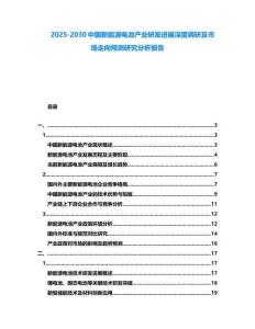 2025-2030中國新能源電池產業研發進展深度調研及市場走向預測研究分析報告