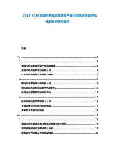 2025-2030德國可再生能源裝備產業供需現狀投資評估規劃分析研究報告