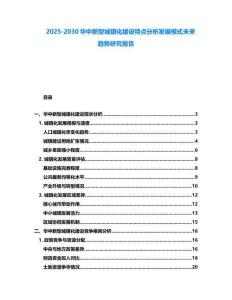2025-2030華中新型城鎮化建設特點分析發展模式未來趨勢研究報告