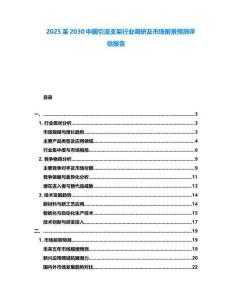 2025至2030中國引流支架行業(yè)調(diào)研及市場前景預(yù)測評估報告