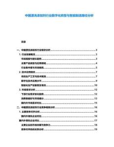 中国漂洗添加剂行业数字化转型与智能制造路径分析