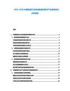2025-2030中國能源行業清潔能源利用與產業結構優化分析報告