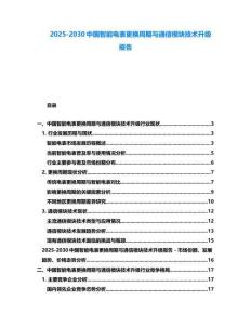 2025-2030中國智能電表更換周期與通信模塊技術升級報告