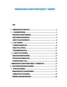 中国漂洗添加剂行业数字化转型与智能工厂发展趋势