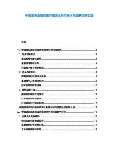 中国漂洗添加剂废弃资源化利用技术与循环经济实践
