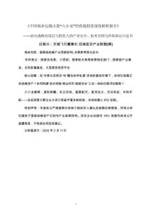 中國(guó)商業(yè)運(yùn)載火箭“六小龍”價(jià)值鏈投資深度解析報(bào)告_——面向戰(zhàn)略決策層與投資人的產(chǎn)業(yè)安全、技術(shù)突圍與價(jià)值錨定白皮書