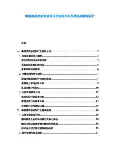 中國漂洗添加劑項目投資回報率與風險控制模型設計